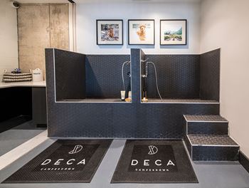 Pet spa1 at Deca Apartments, Greenville, 29601